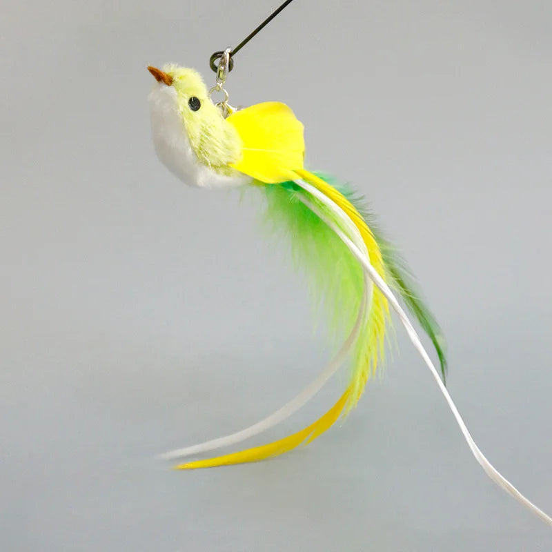 Handfree Feather Cat Wand – Interactive Hunting & Exercise Toy