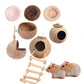 Coconut Hideaway – Natural Wooden House for Small Pets