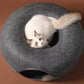 Felt Donut Cat Bed – Warm Hideaway & Interactive Tunnel for Cats