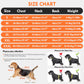 Dog Cooling Vest Dog Harness Cooler Jacket with Portable Water Bottle, for Walking Dog, Outdoor Camping and Hunting Training