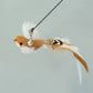 Handfree Feather Cat Wand – Interactive Hunting & Exercise Toy