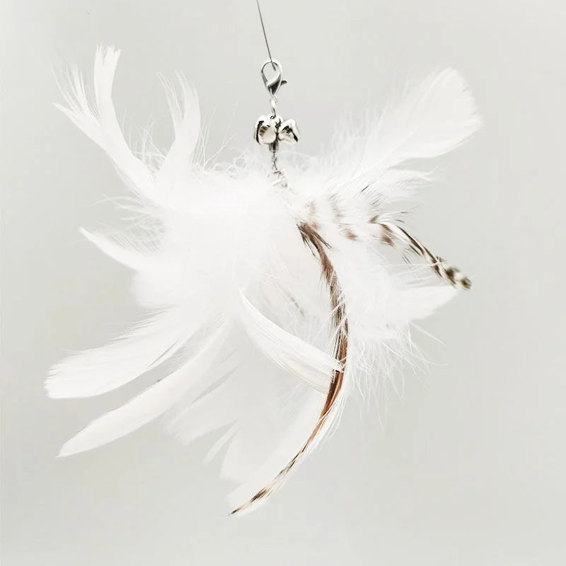 Handfree Feather Cat Wand – Interactive Hunting & Exercise Toy
