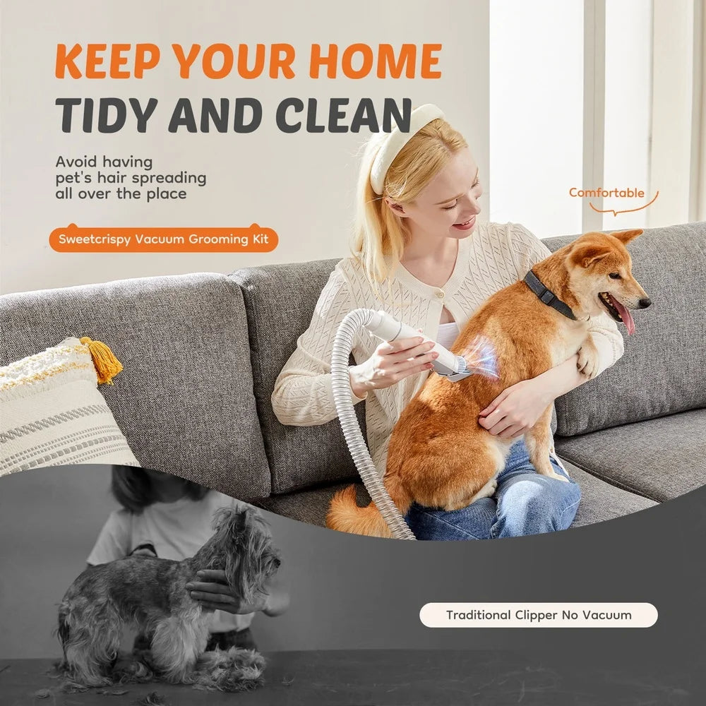 Powerful Pet Grooming Vacuum 10kPa Suction Hair Removal Kit Ultra Quiet 65dB 2.5L Dust Bin 8 Comb Attachments