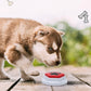 Interactive Dog Squeak Toy – Recordable Talking Buttons for Dogs