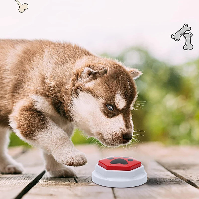 Interactive Dog Squeak Toy – Recordable Talking Buttons for Dogs