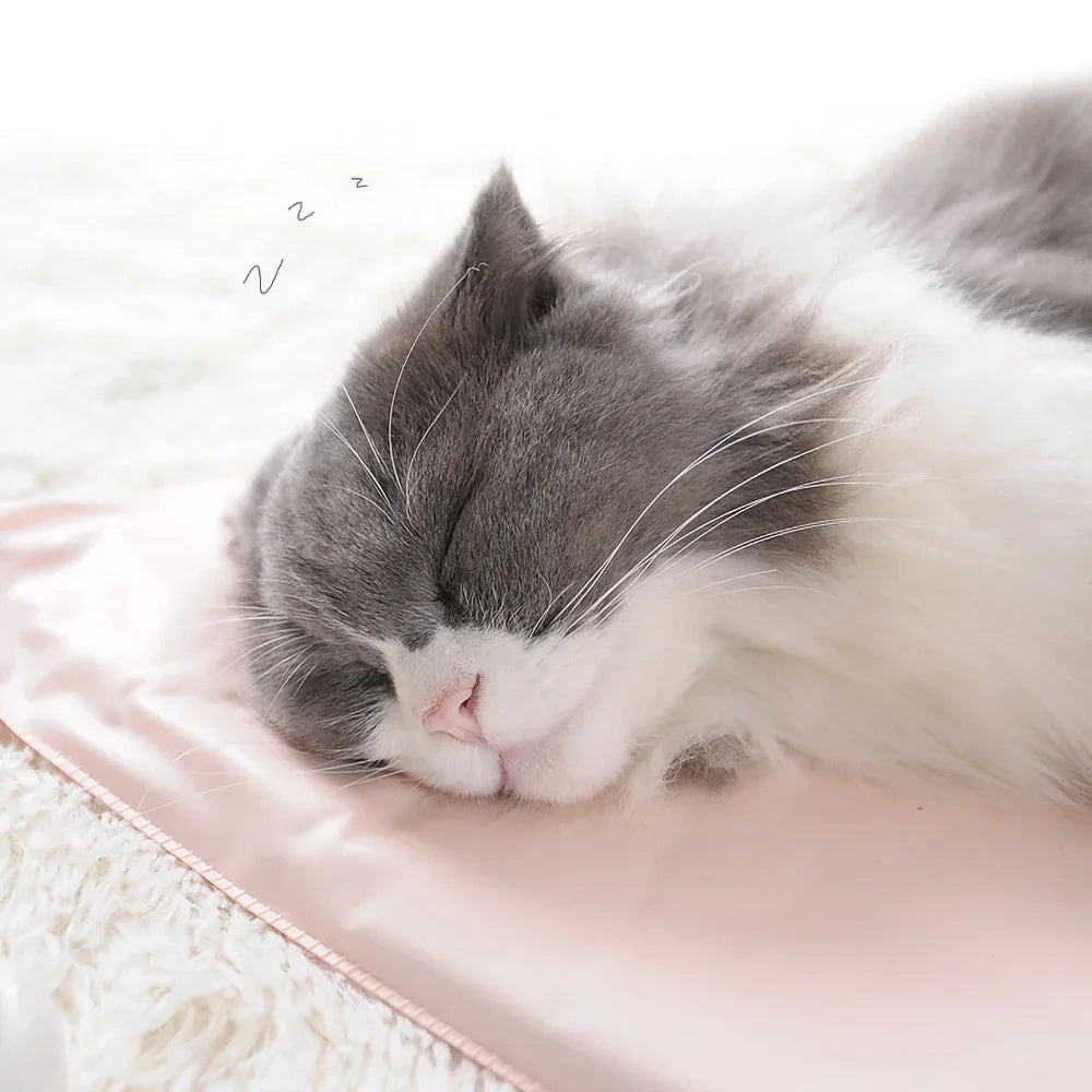 Winter Pet Heating Blanket – Warm, Waterproof, and Wear-Resistant