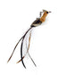 Handfree Feather Cat Wand – Interactive Hunting & Exercise Toy