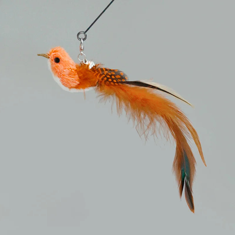 Handfree Feather Cat Wand – Interactive Hunting & Exercise Toy