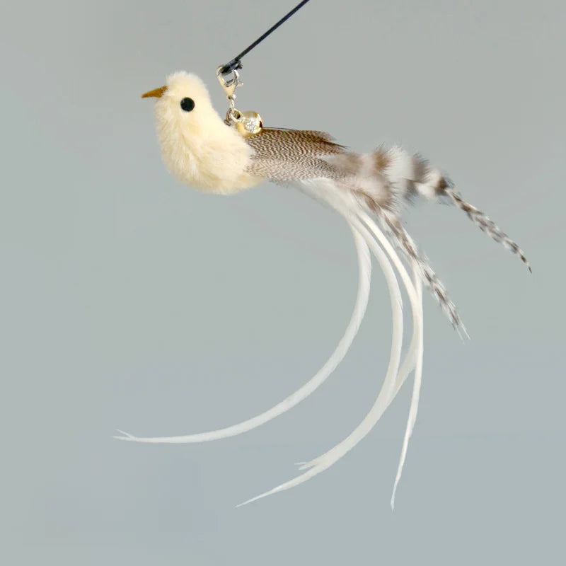 Handfree Feather Cat Wand – Interactive Hunting & Exercise Toy