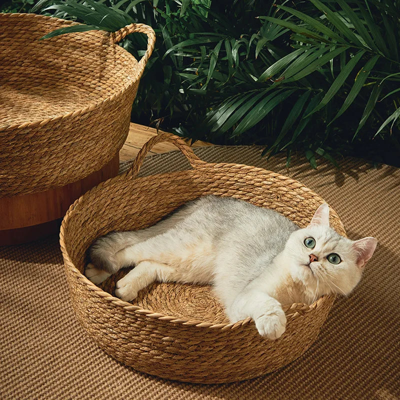 OUZEY Rattan Weaving Pet Bed – Cool, Comfortable, and Stylish