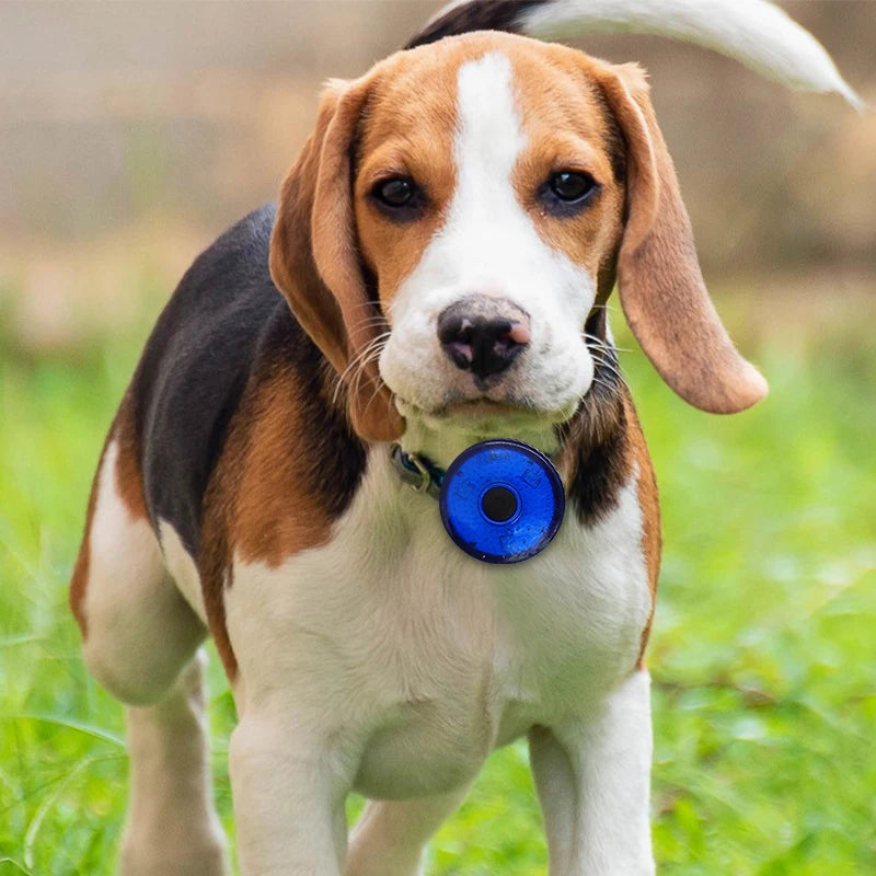 LED Pet Safety Collar Pendant – Bright, Rechargeable, and Portable