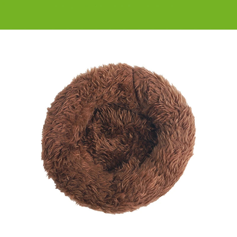 Coconut Hideaway – Natural Wooden House for Small Pets