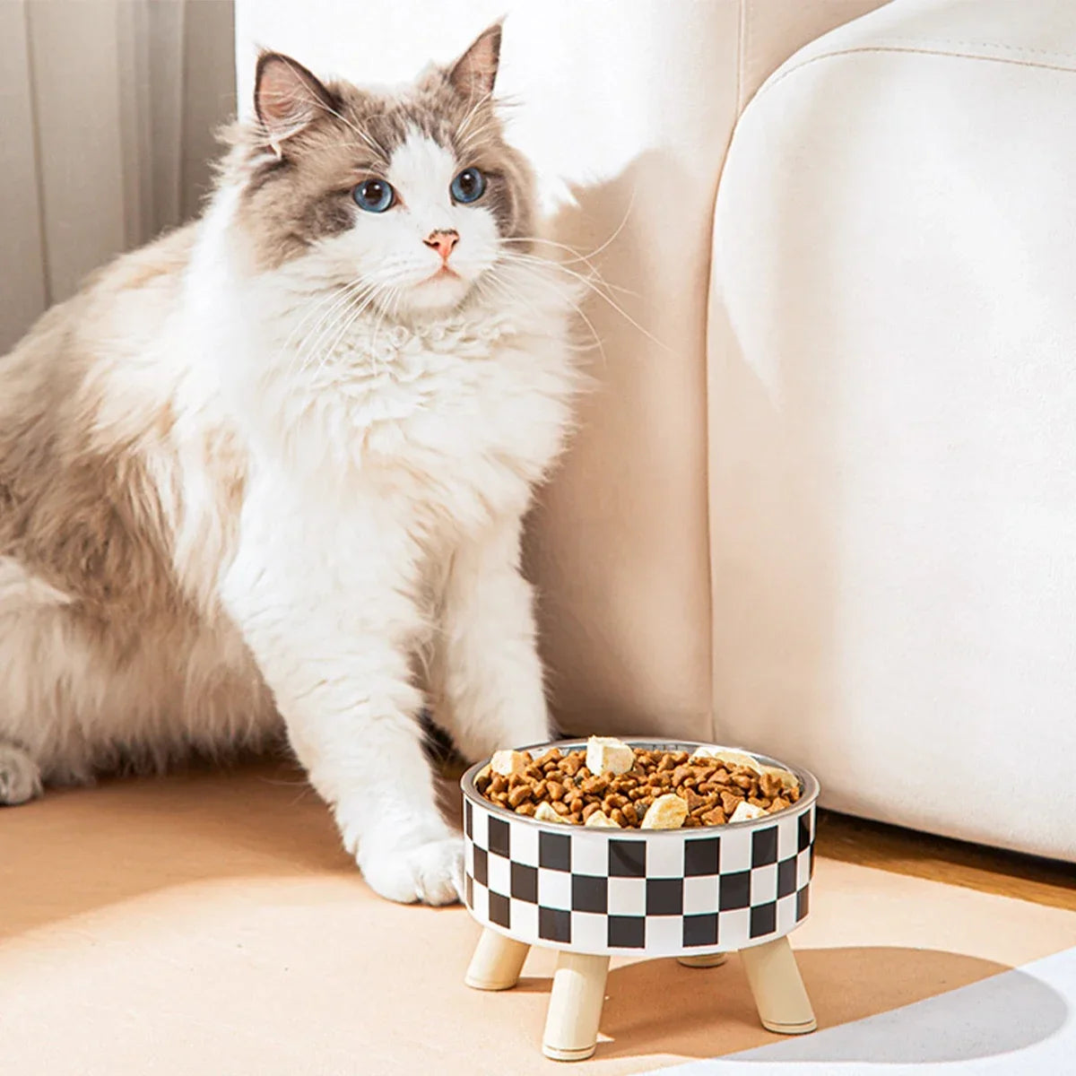 Pet Cat and Dog Bowl Polka-dot Plaid Stainless Steel Anti-slip Easy To Clean Indoor and Outdoor Pet Products Pet Supplies