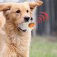 Pet Dog Vocal Toy – Interactive Sound-Responsive Fun