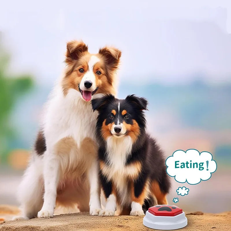Interactive Dog Squeak Toy – Recordable Talking Buttons for Dogs