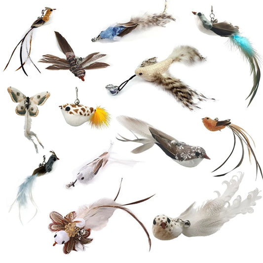 Handfree Feather Cat Wand – Interactive Hunting & Exercise Toy