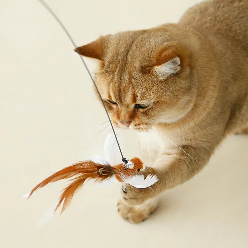 Handfree Feather Cat Wand – Interactive Hunting & Exercise Toy