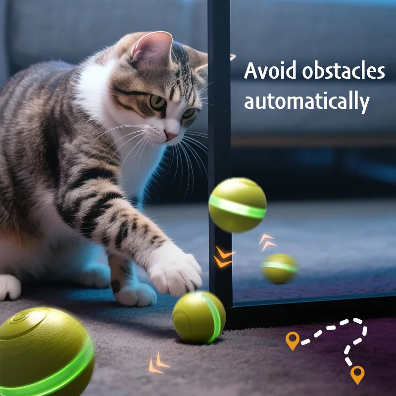 Interactive Smart Ball Toy – Automatic, USB Rechargeable Fun for Cats & Dogs