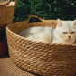 OUZEY Rattan Weaving Pet Bed – Cool, Comfortable, and Stylish