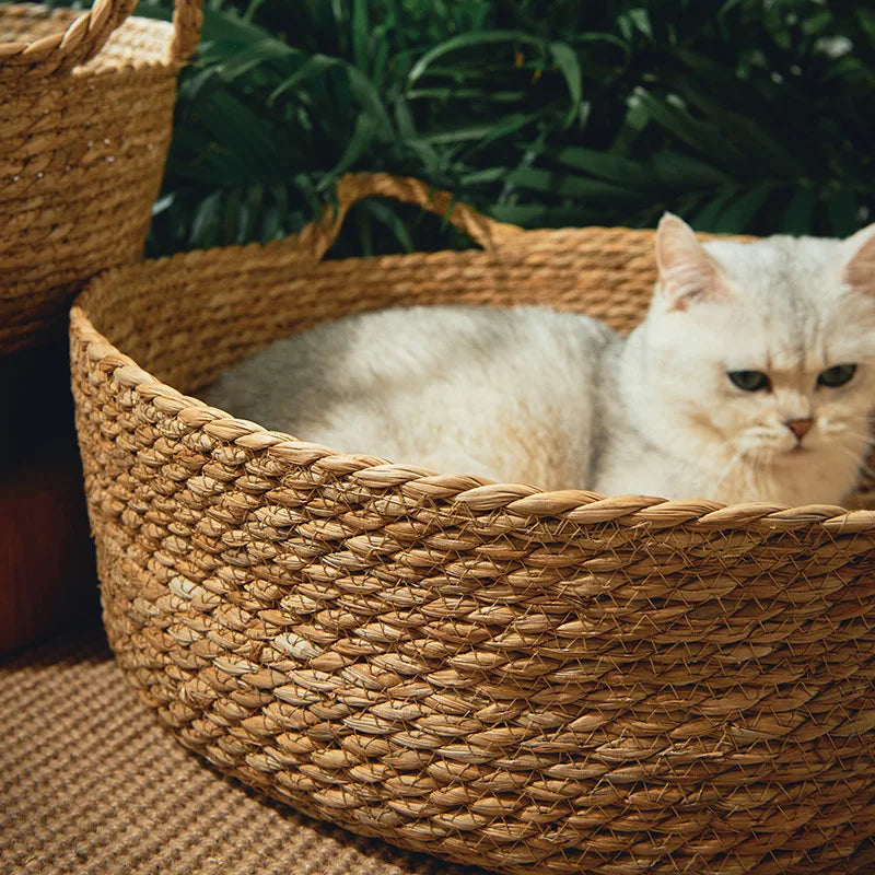 OUZEY Rattan Weaving Pet Bed – Cool, Comfortable, and Stylish